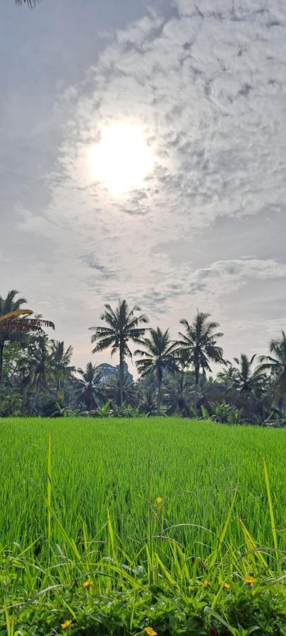 Galang Hari Villa Ubud  Luaran gambar