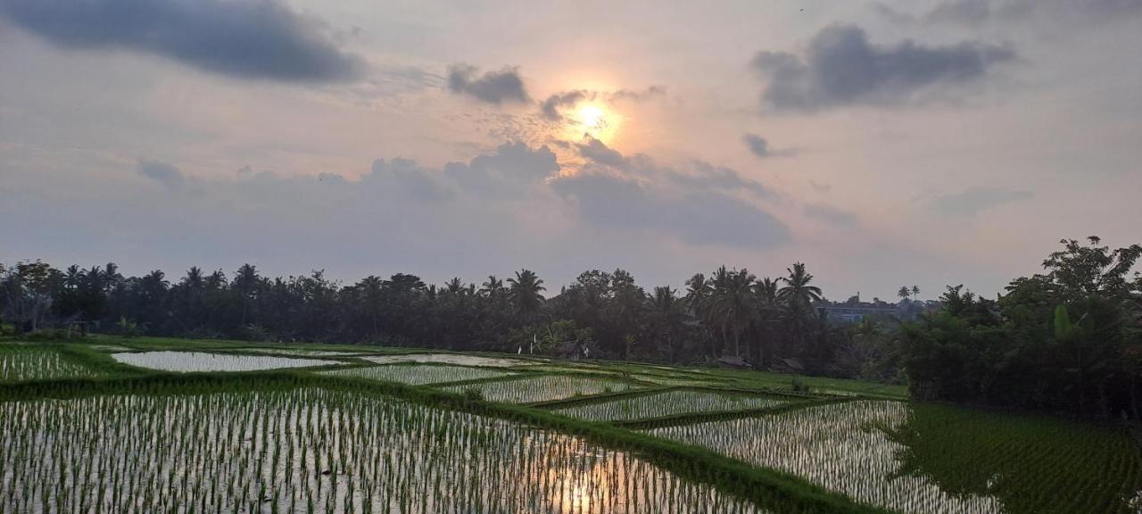Galang Hari Villa Ubud  Luaran gambar
