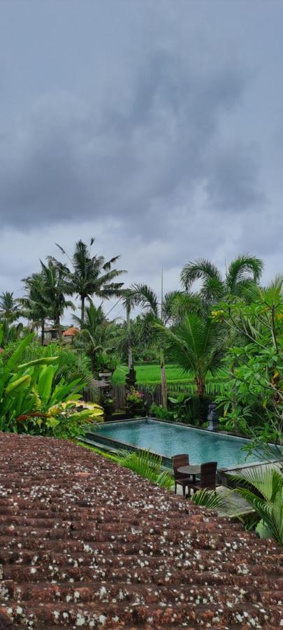 Galang Hari Villa Ubud  Luaran gambar