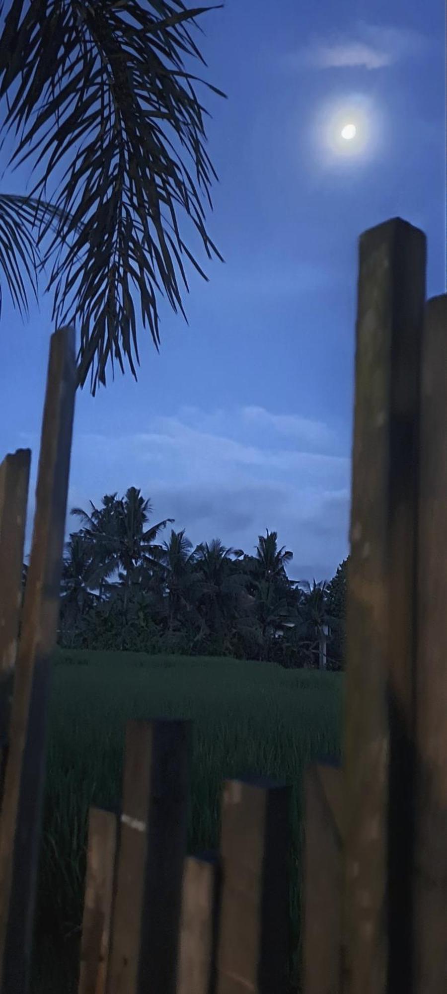 Galang Hari Villa Ubud  Luaran gambar