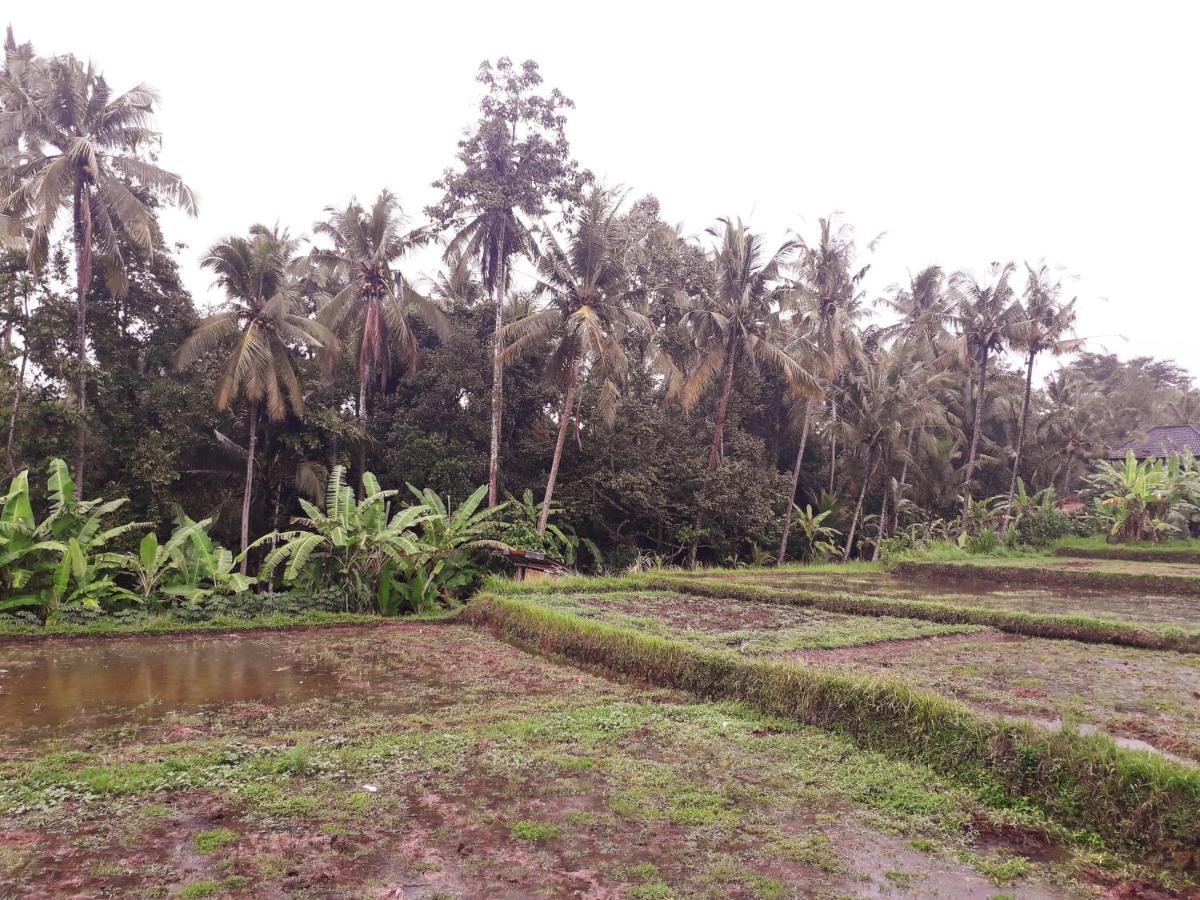 Galang Hari Villa Ubud  Luaran gambar